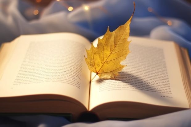 奋斗在韩国这个网站上的熊猫留学中介,申请大学,可信吗?有人让他们帮忙申请过吗?知道的回复,谢谢!