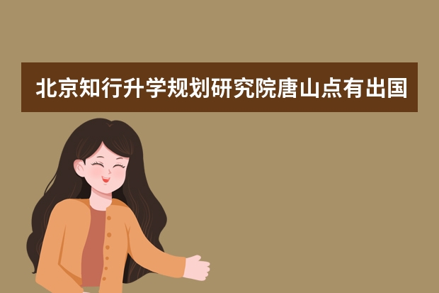 北京知行升学规划研究院唐山点有出国留学代办吗?